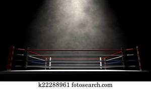 ringue, spotlit, escuro