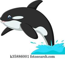 cute whale cute whale