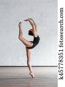 the dancer the dancer