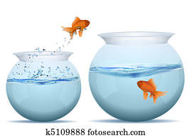 fish jumping from one tank to another