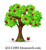 apple tree apple tree