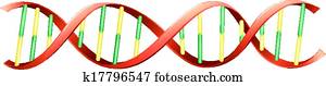 DNA DNA