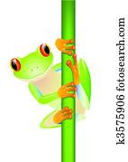 Vector green tree frog Vector green tree frog