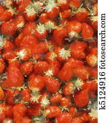 Strawberries (Oil Painting) Strawberries (Oil Painting)