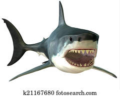 כריש לבן גדול, פה