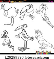Funny cockatoo cartoon Clip Art | k9128467 | Fotosearch