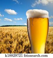 Glass of beer against wheat field and blue sky