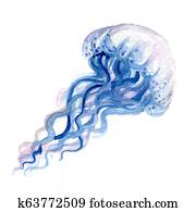 Jellyfish Jellyfish