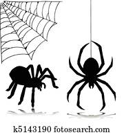 aranha, dois, vetorial, silhuetas