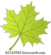 Maple Leaf Clip Art Vector Graphics. 35,257 maple leaf EPS clipart