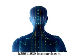 Medical acupuncture model of human on white background Medical acupuncture model of human on white background