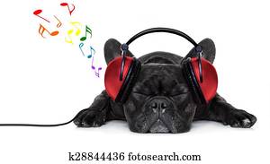 dog music dog music