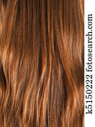 Female brown hair | Texture