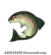 Salmon, Isolated Illustration Salmon, Isolated Illustration