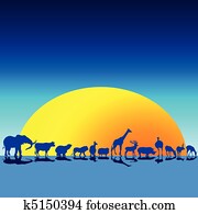 wild animals in the twilight