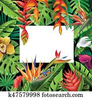 Frame from tropical plants and flowers Frame from tropical plants and flowers