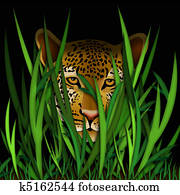 leopard head in grass leopard head in grass