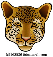 Leopard head isolated Leopard head isolated