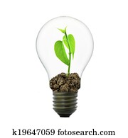 Small plant in light bulb 