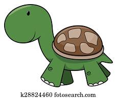 Baby turtle Baby turtle