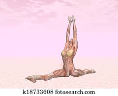 Monkey yoga pose for woman with muscle visible