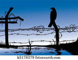 pájaro, posición, en, cerca del alambre