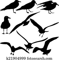 Set black silhouettes of seagulls on white background. Vector il