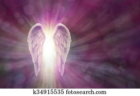 Angel Wings on Magenta Bokeh Banner