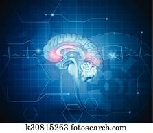 cerebro humano, tratamiento, concepto