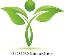 Green leafs natural herbal logo
