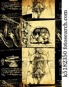 Leonardo's Da Vinci engineering & Anatomy drawing Leonardo's Da Vinci engineering & Anatomy drawing