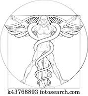 איש של ויטראויאן, כאדאכיאס