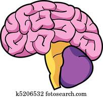 Brain Brain