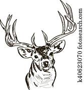 Deer Deer