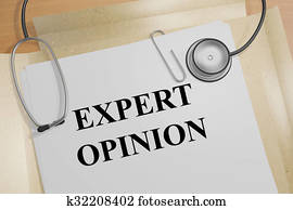 Expert Opinion concept