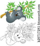 Koala Koala