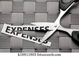 udgifter, skære
