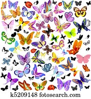 קבע, של, לאדיבאג, ו, פרפר