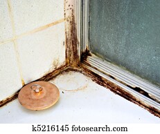 Black Mold Black Mold