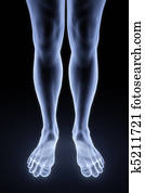 feet feet