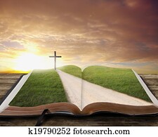Open Bible with road. Open Bible with road.