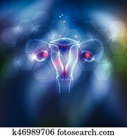 weiblich, gebärmutter, abstrakt, hintergrund