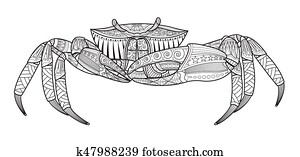 krabba, hand, oavgjord, hav kreatur