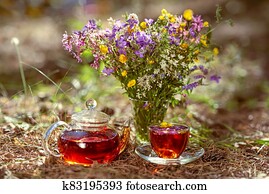 Cup and teapot in nature in the forest Cup and teapot in nature in the forest