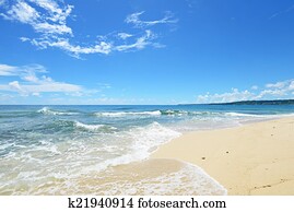 Gorgeous Beach in Summertime