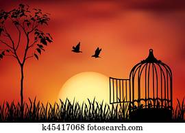 released to sunset released to sunset