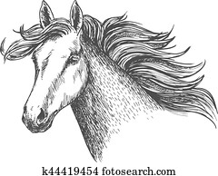 Freely Running White Beautiful Horse Mare