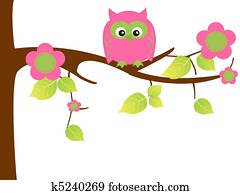 Owl Owl