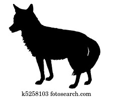 Coyote silhouette Coyote silhouette