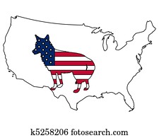 Coyote USA Coyote USA